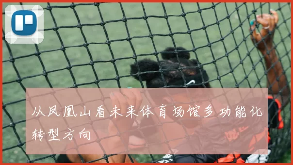 从凤凰山看未来体育场馆多功能化转型方向